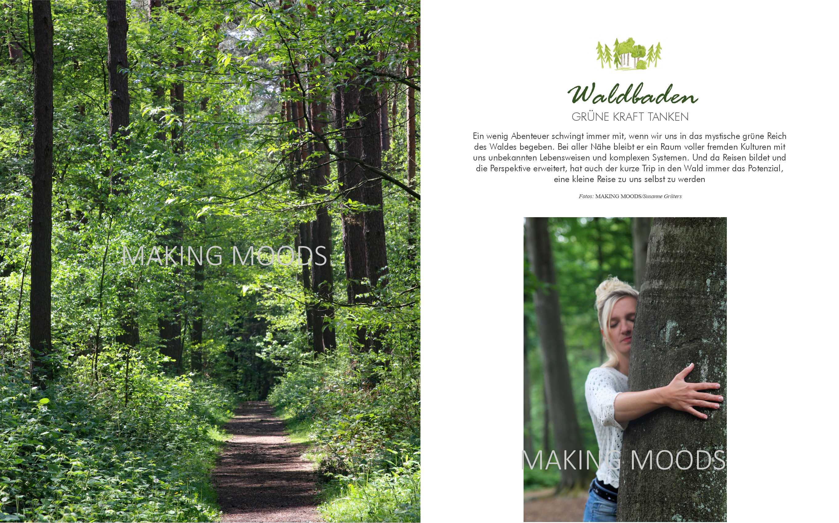 Preview Waldbaden-Feature-1.jpg