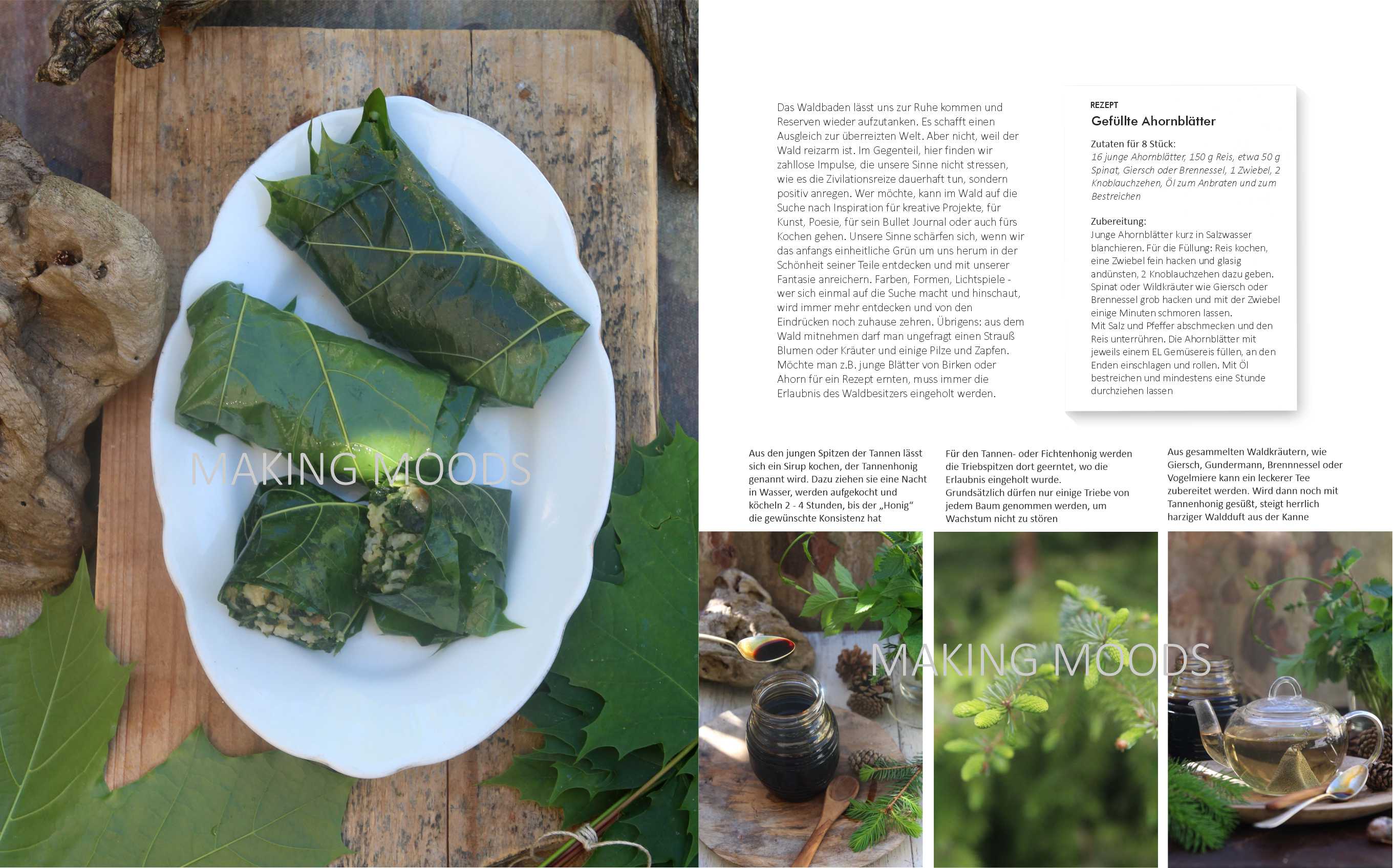 Preview Waldbaden-Feature-4.jpg
