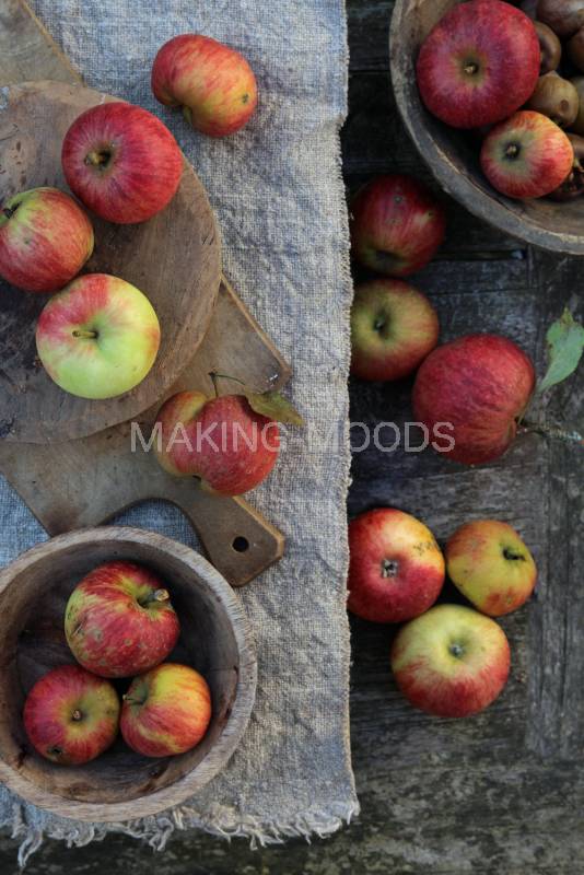 Preview Herbst-Apfel-8-2.jpg