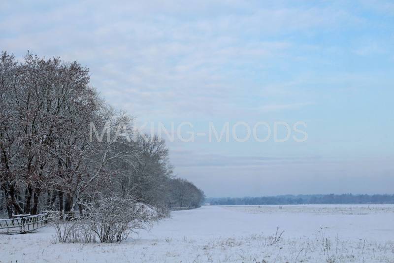 Preview Winter-Moods-26.jpg
