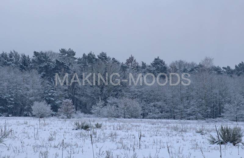 Preview Winter-Moods-66.jpg
